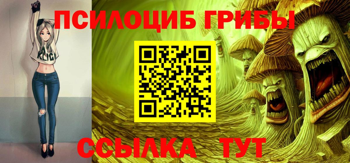 Псилоцибиновые грибы GOLDEN TEACHER Саранск