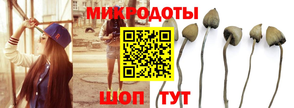 Псилоцибиновые грибы Psilocybe  Вход с VPN  Саранск 